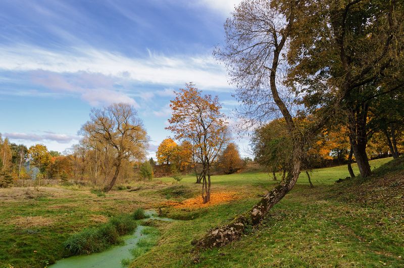 осень, городище, менка, менск, история, беларусь  фото превью