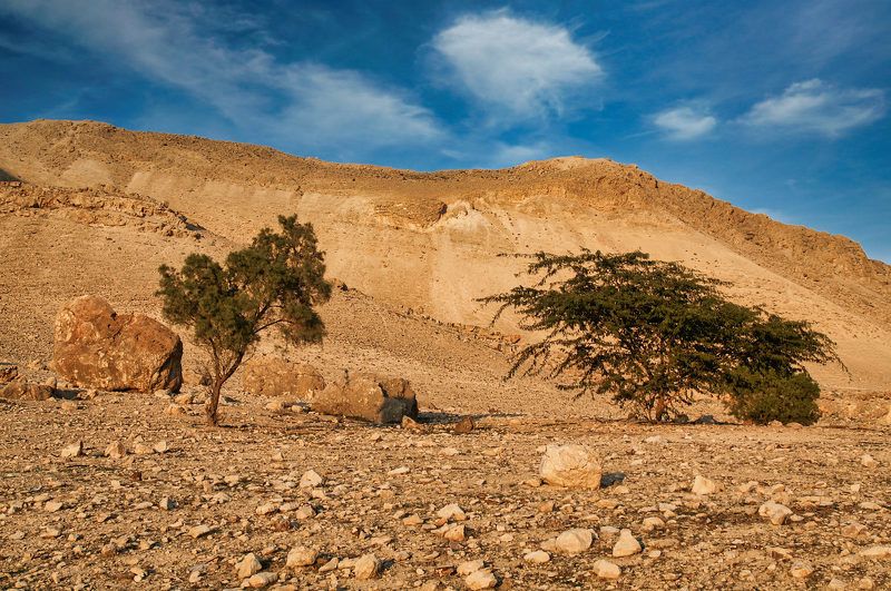 The Jordan Valley фото превью
