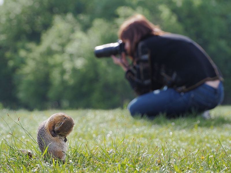 Снимите меня, пожалуйста! фото превью
