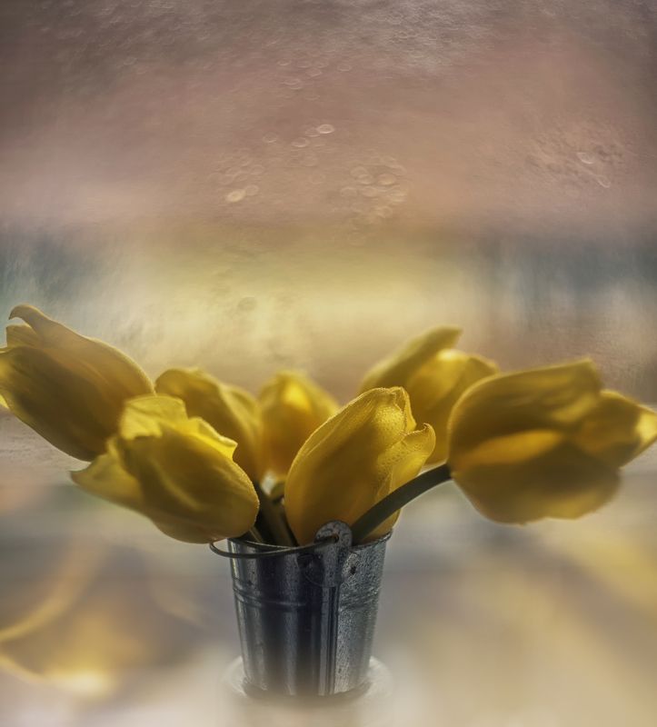 Зимние ) фото превью