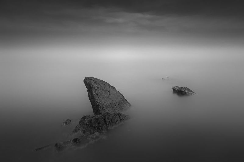 The Shark фото превью