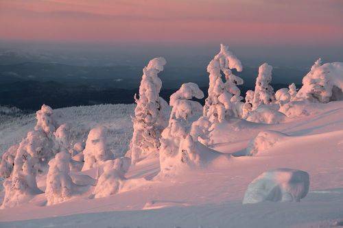 В последних лучах