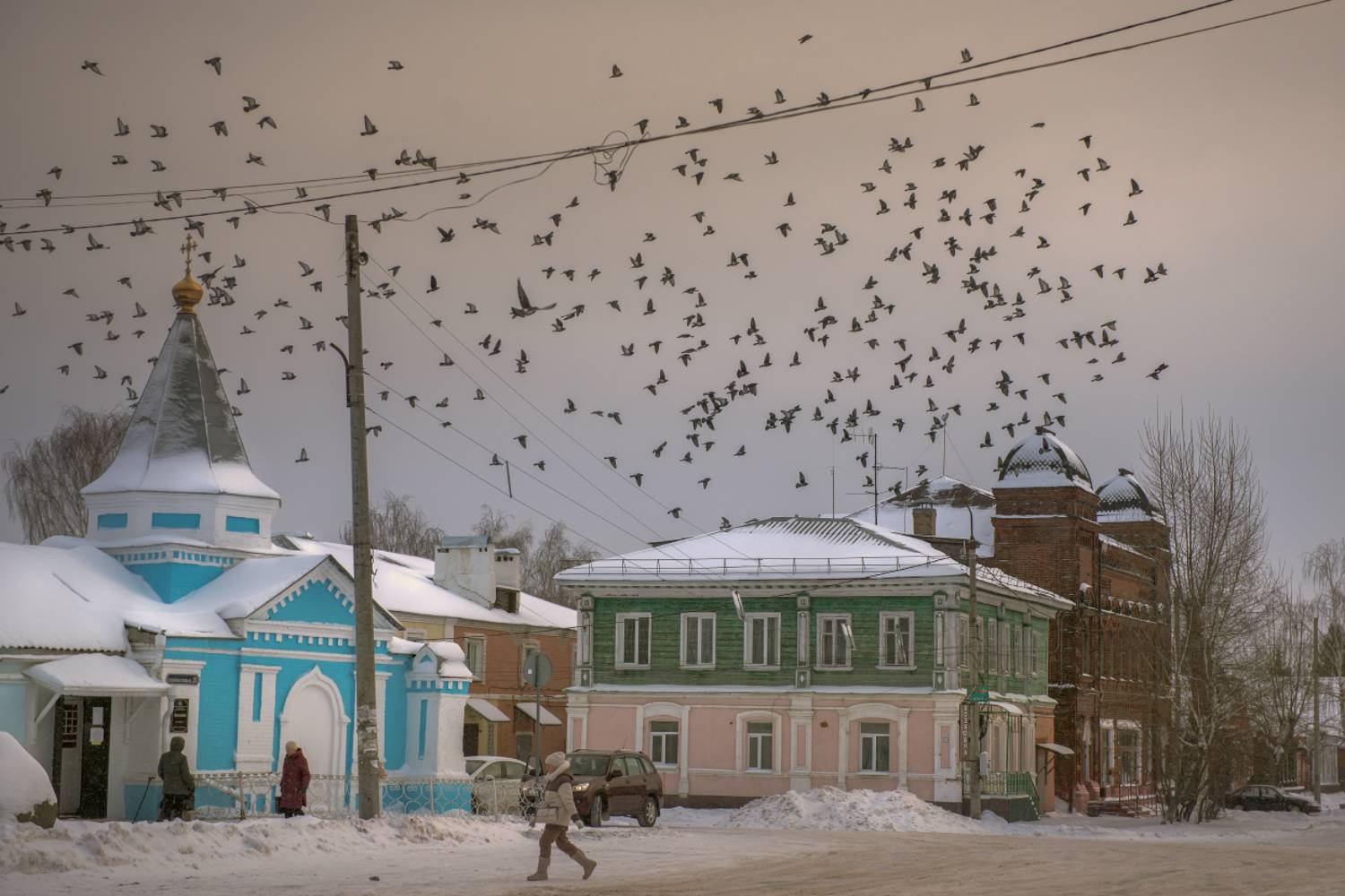 декабрь утро иней птицы  вязники  вязниковский район, Алексеев Дмитрий