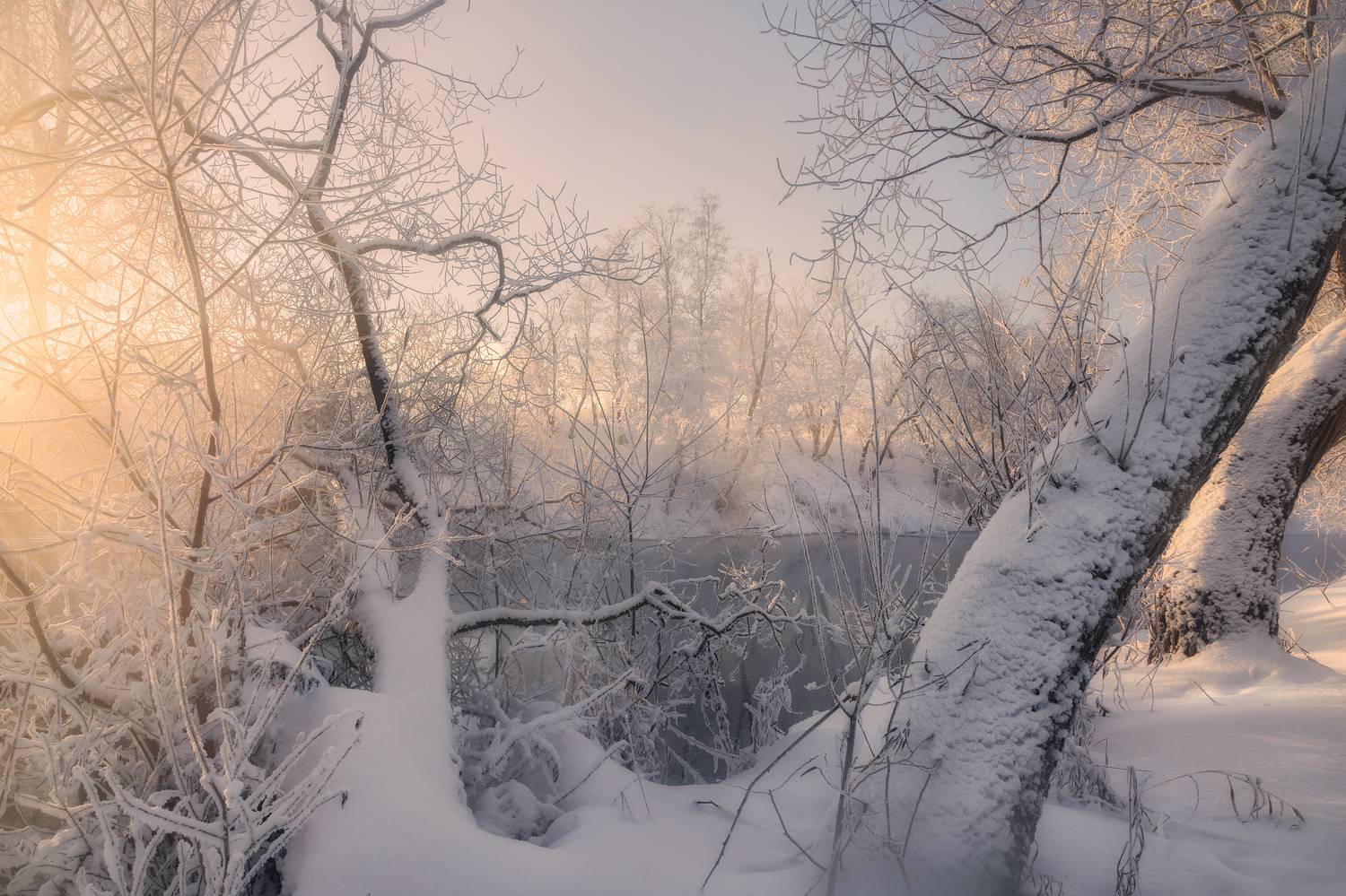 истра, Гусева Елена