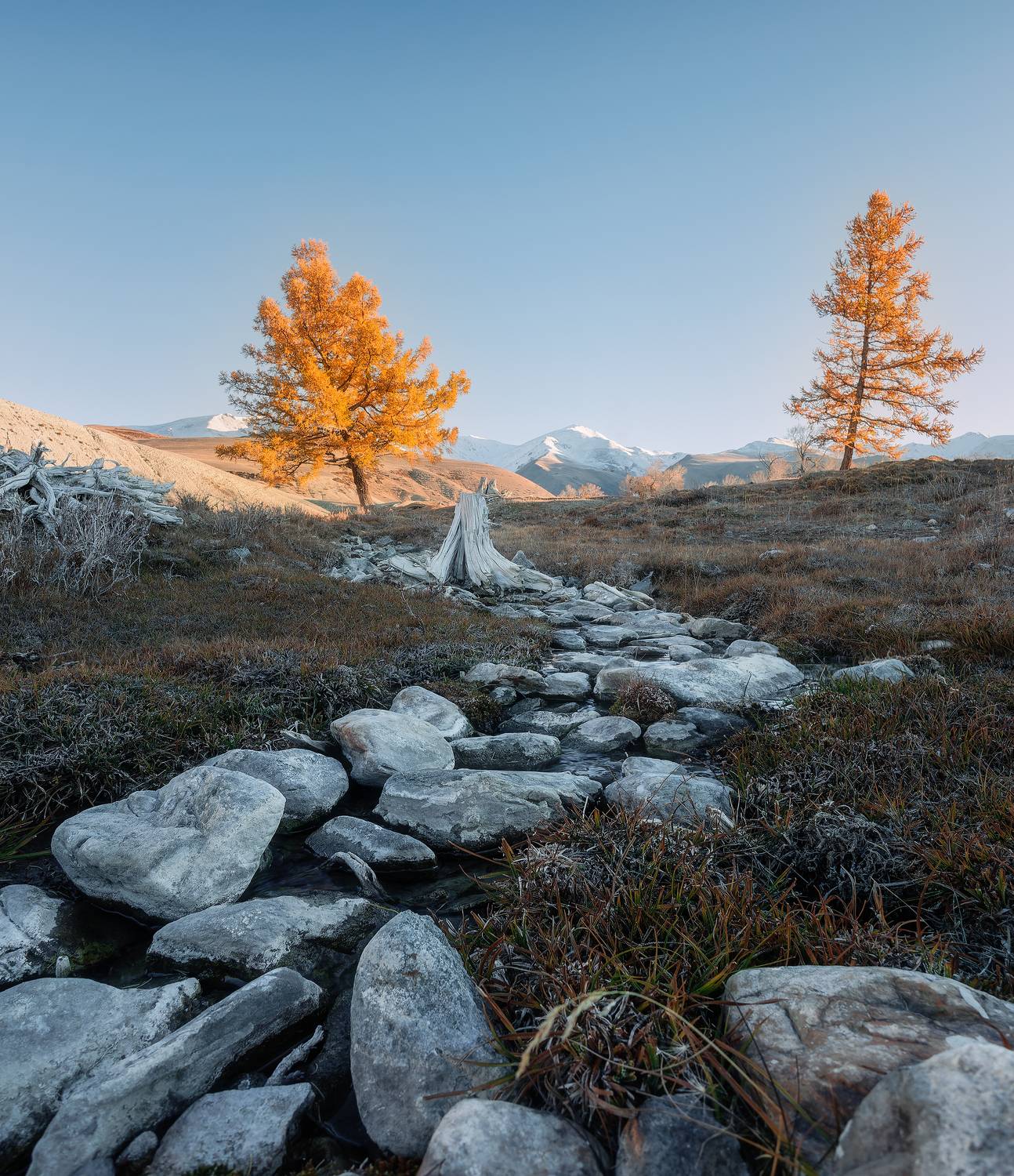, Загруев Михаил