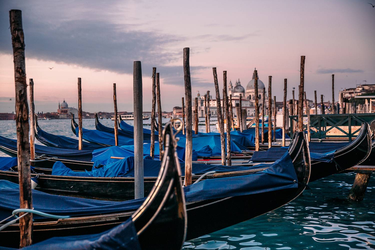 , Трепольский Дмитрий