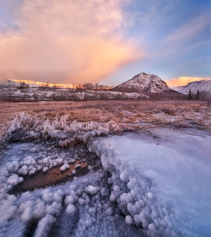 KOLA фото превью