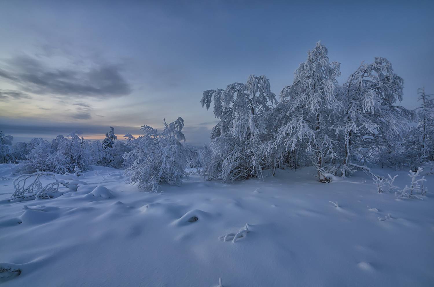 полярная, ночь, кольский, зима, Тихонов Сергей