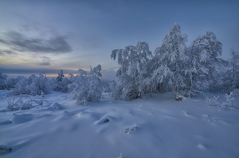 Пик полярной ночи. фото превью