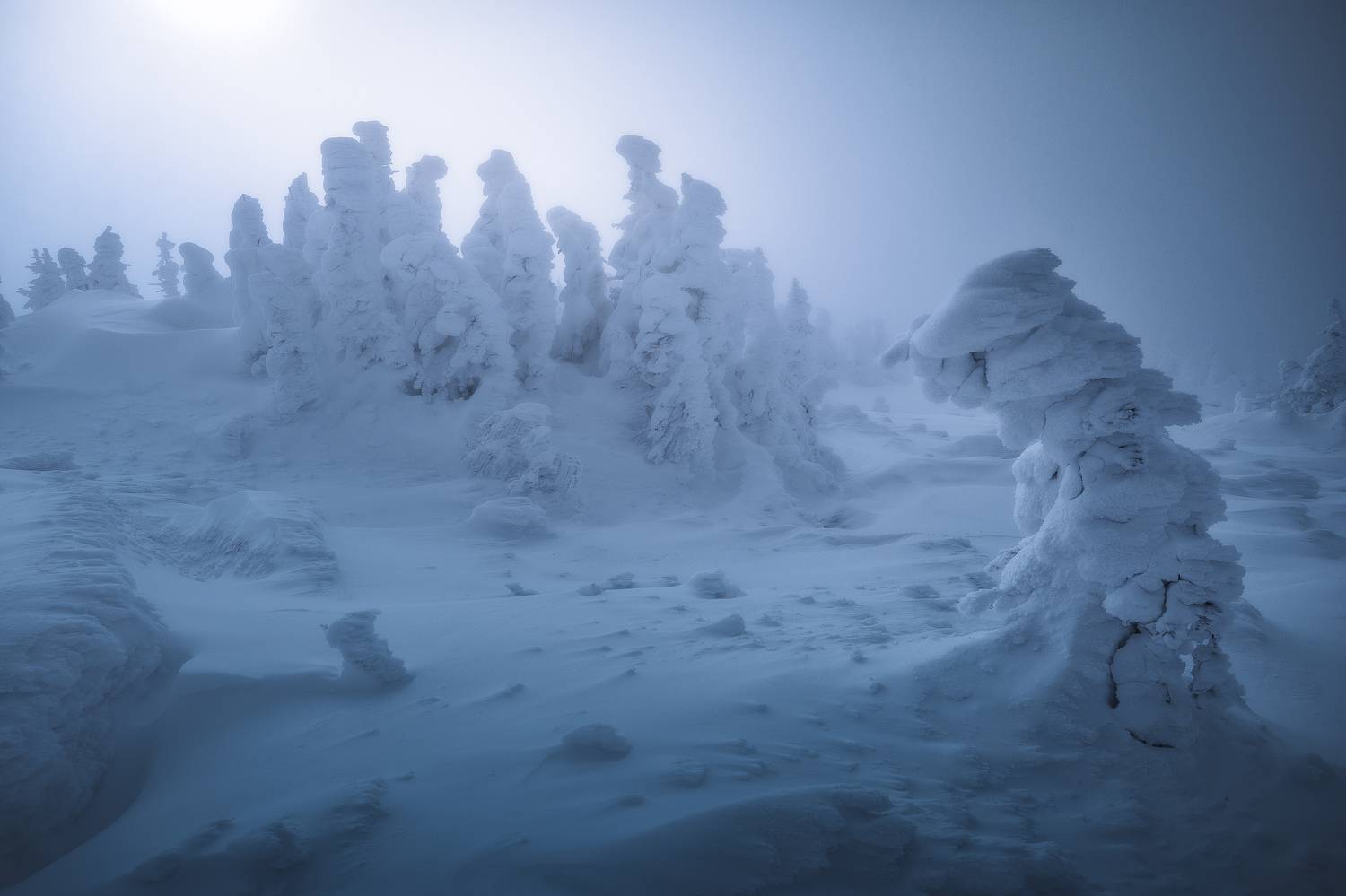 , Силантьев Даниил