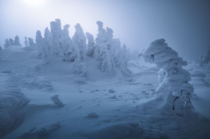Зимний сон фото превью