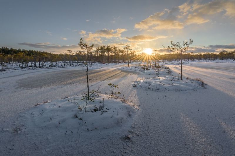 болото, ленинградская область Первый снег на болотах Ленобласти фото превью