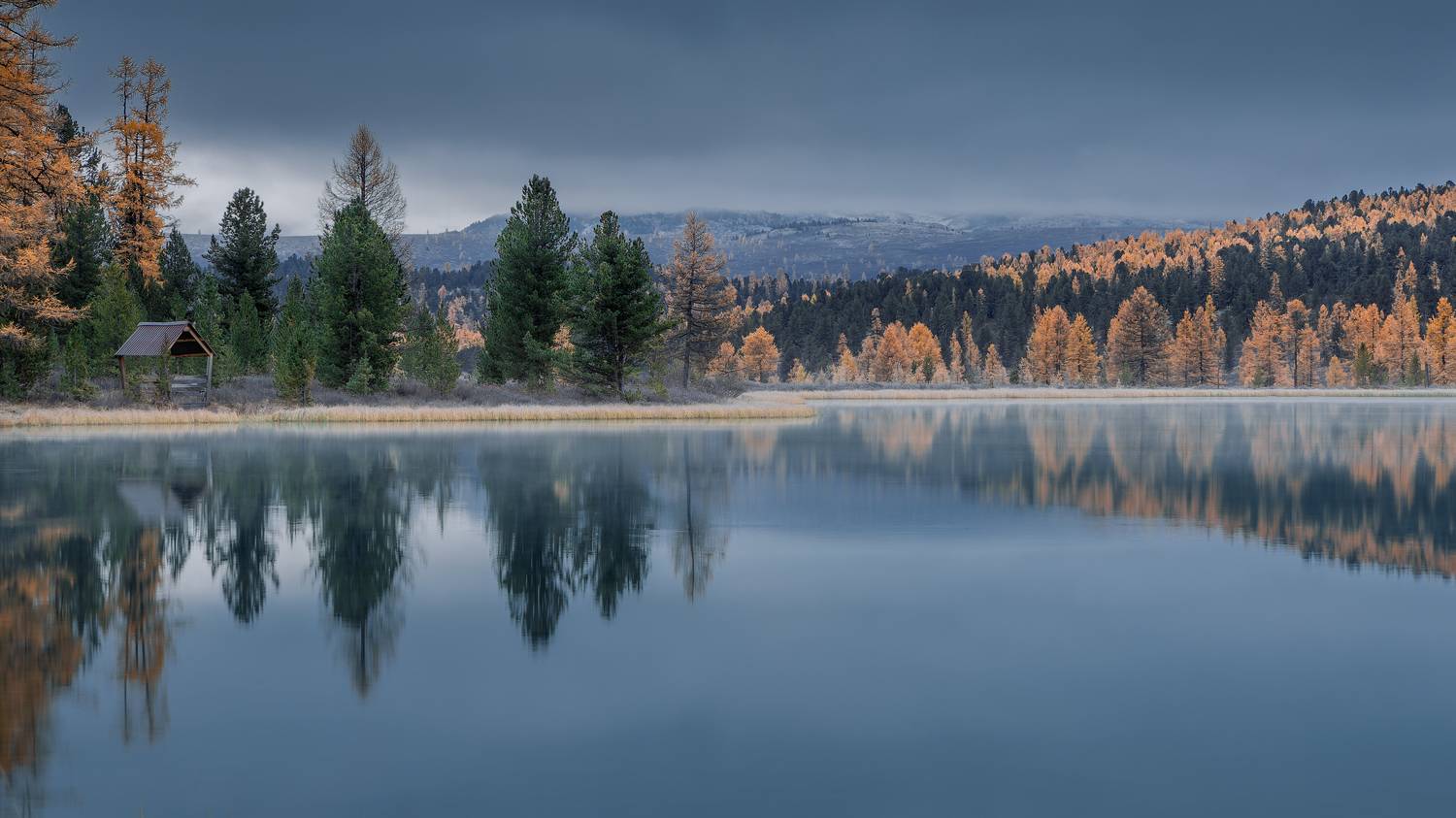 , Загруев Михаил