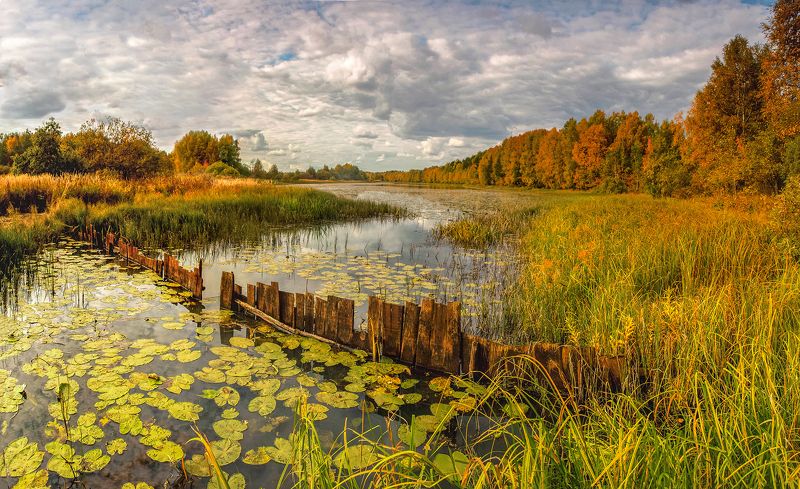 Про бабье лето. фото превью