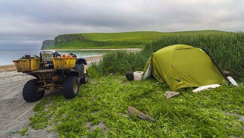 Парковка на газоне