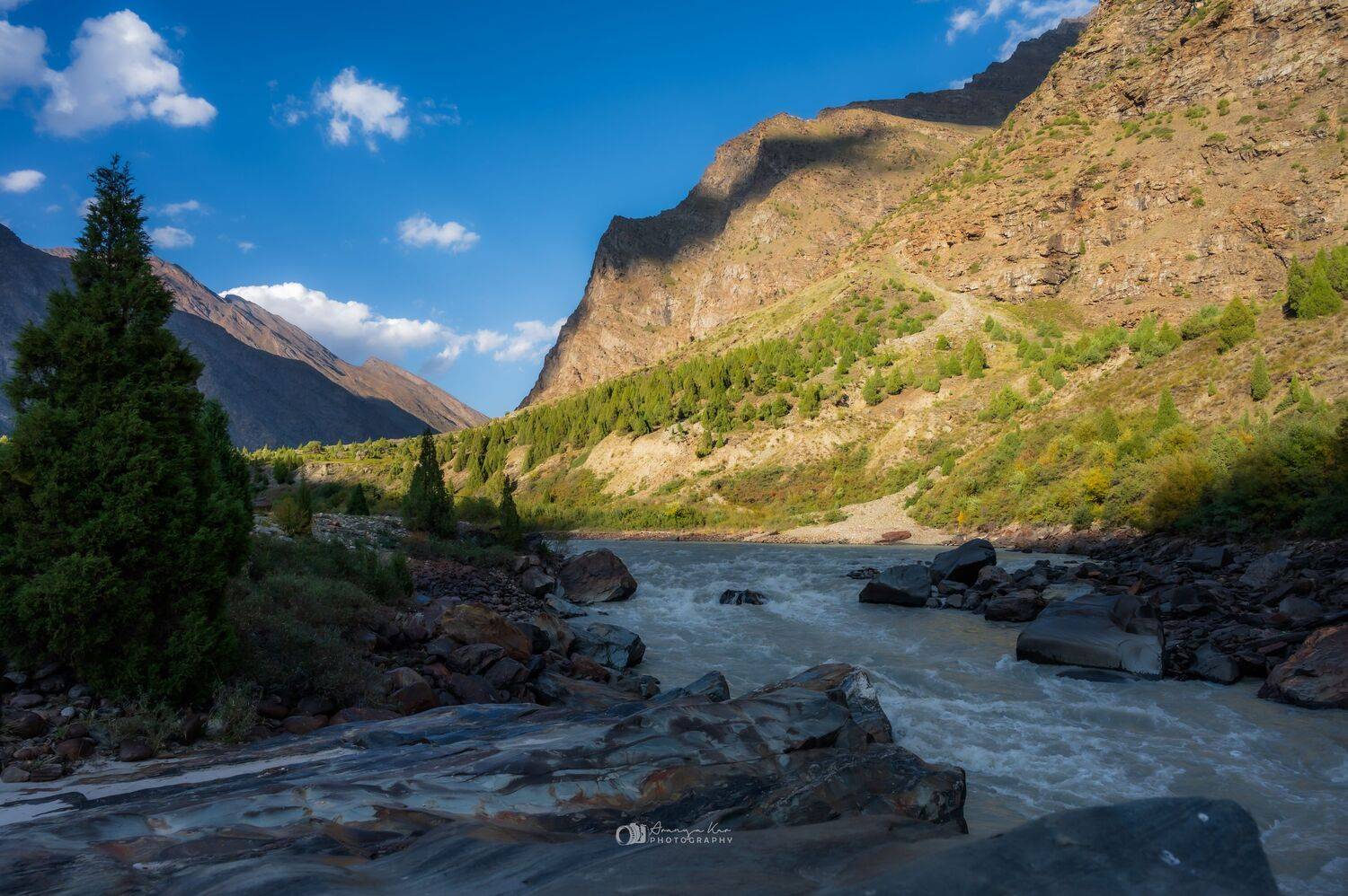 , KAR ARANYA