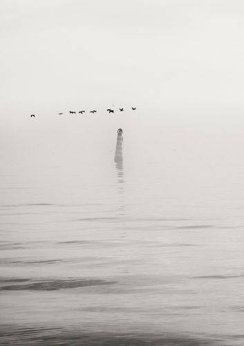 В мир минималистической зимы.