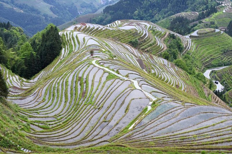 Хребет Дракона фото превью