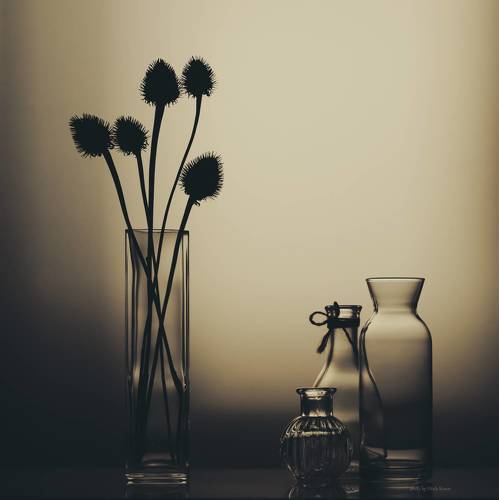 Тени, силуэты..