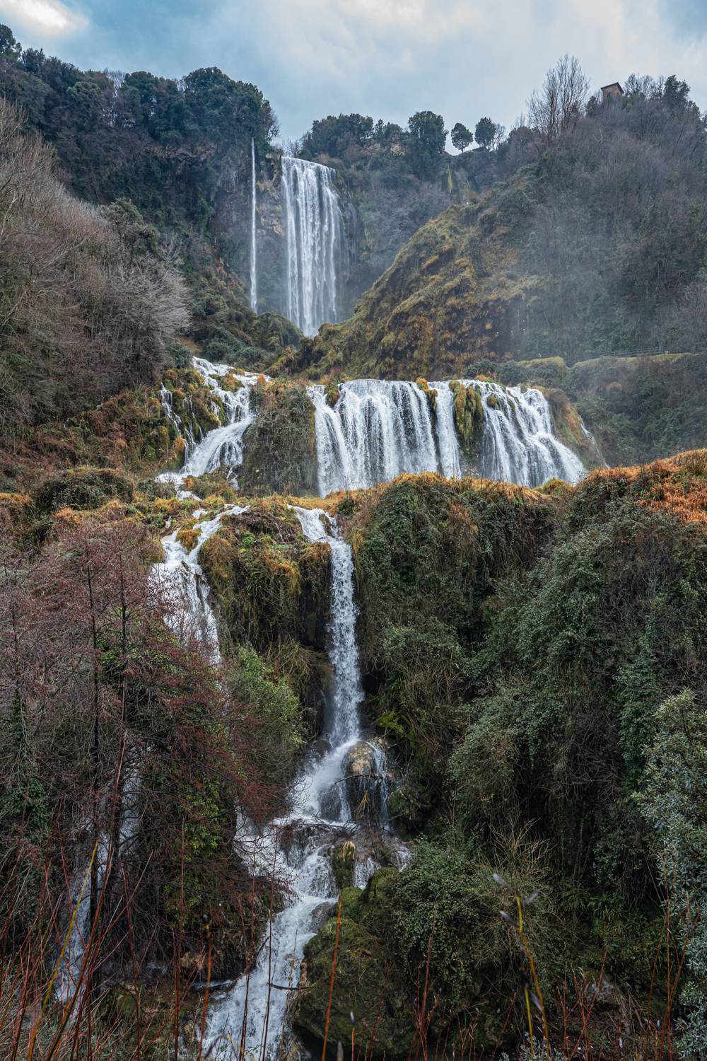 , Максимова Дария