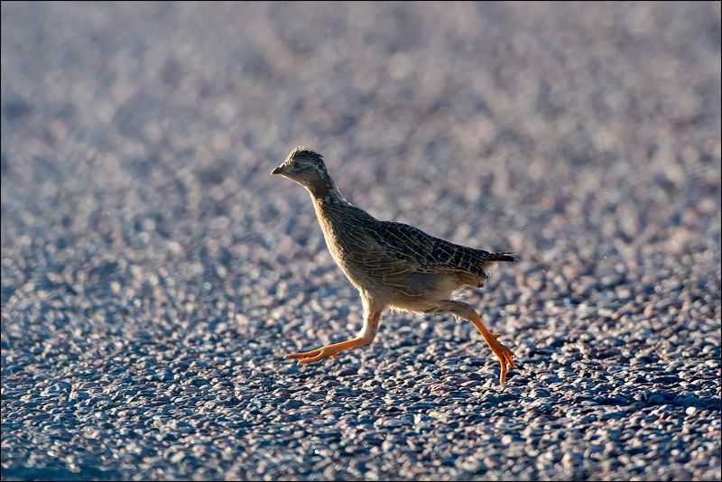 Маленький спортсмен фото превью