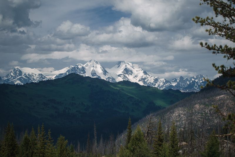 ее величество белуха  фото превью