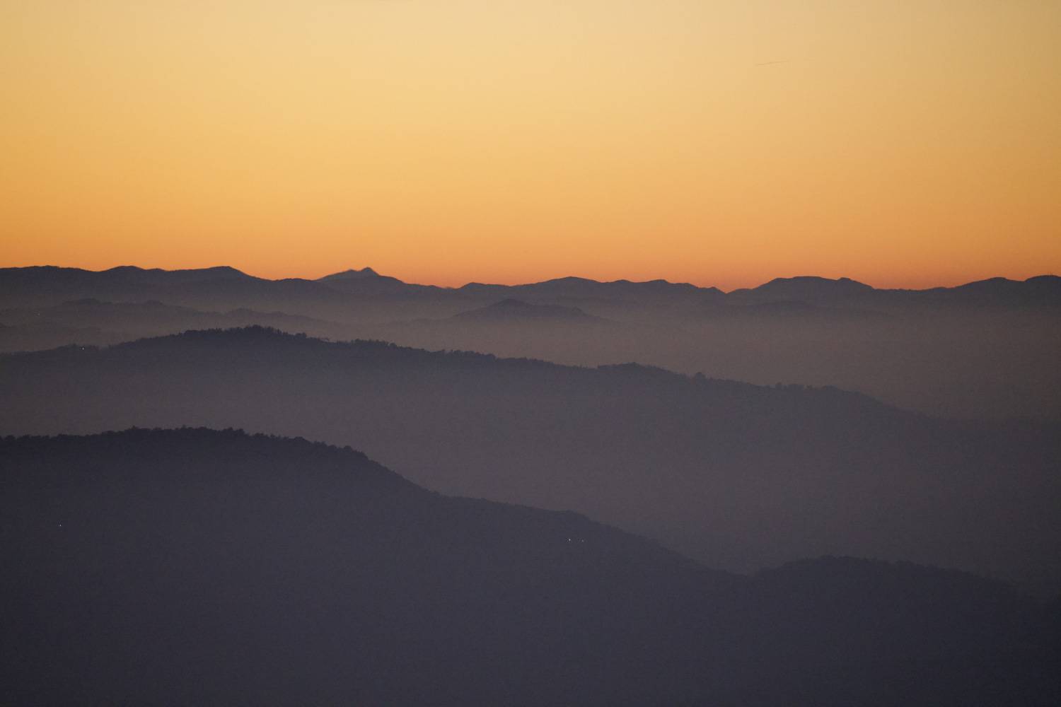 , Александр Шандов