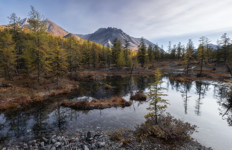 *** фото превью