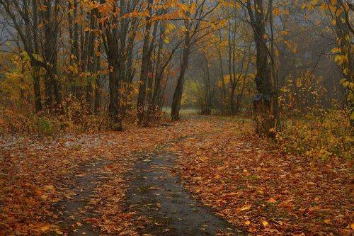 Осеннее утро