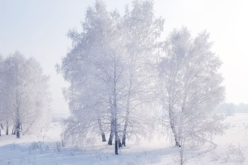 Зимняя нежность фото превью