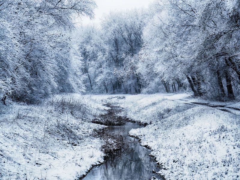 Finally winter фото превью