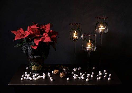 С наступающими праздниками!