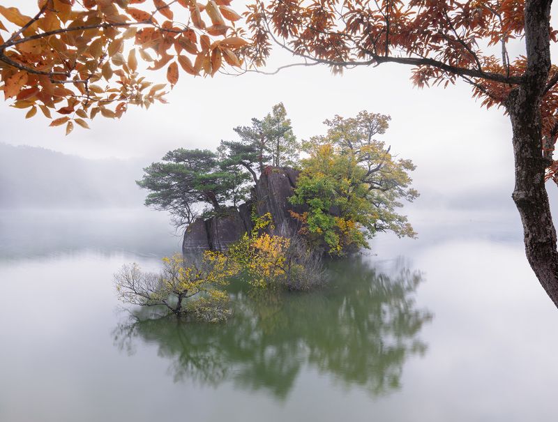 Foggy Busodamak фото превью