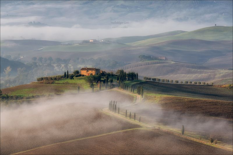 italy,san quirico d\'orcia,italia,италия,тоскана,pienza,кипарис,toscana,осень,tuscany,cipressi,belvedere,пьенца,тени,туман А мимо проплывал туман фото превью