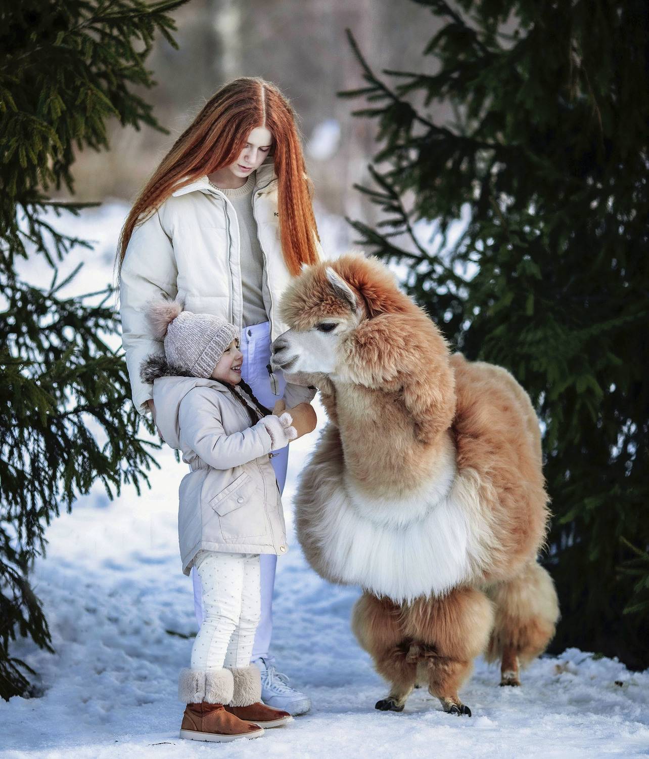 дети, альпака, зима,настроение,children, alpaca, emotional, nature, Стукалова Юлия