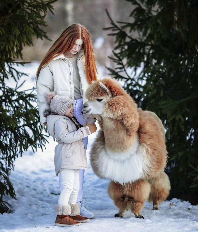 дети, альпака, зима,настроение,children, alpaca, emotional, nature Чудесное знакомство фото превью