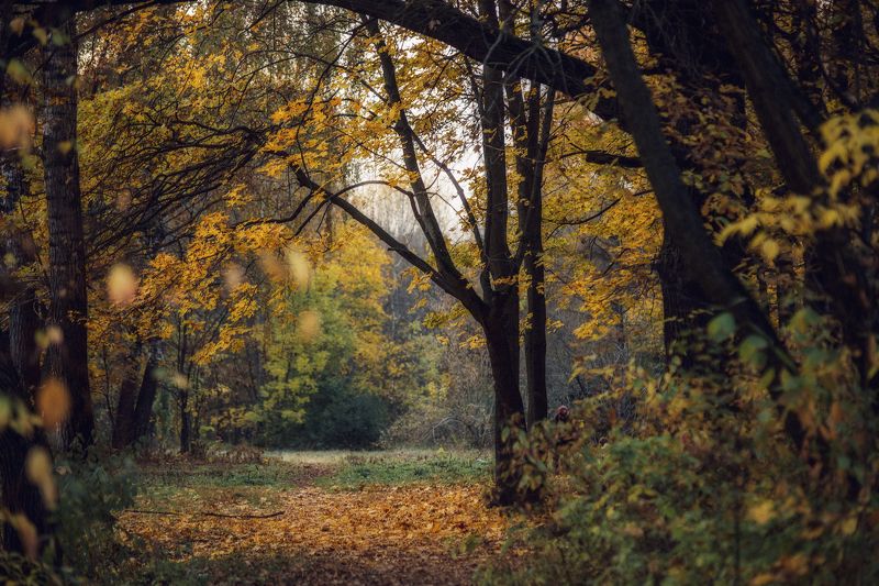 Про осень. фото превью