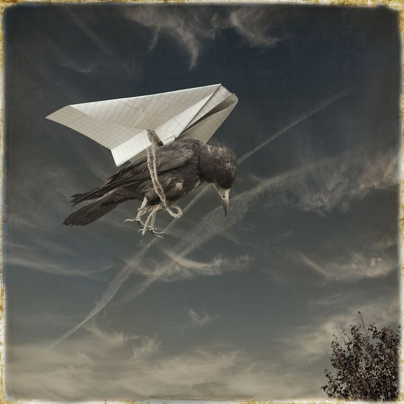 сюрреализм  фото превью