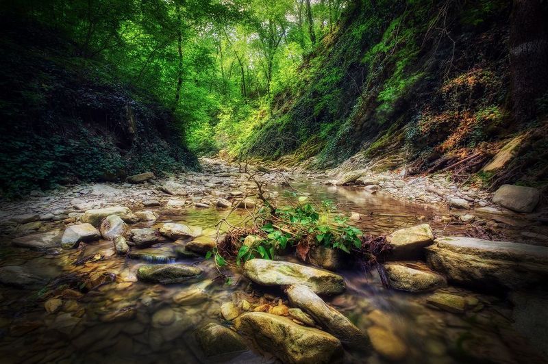 По дороге к водопаду фото превью