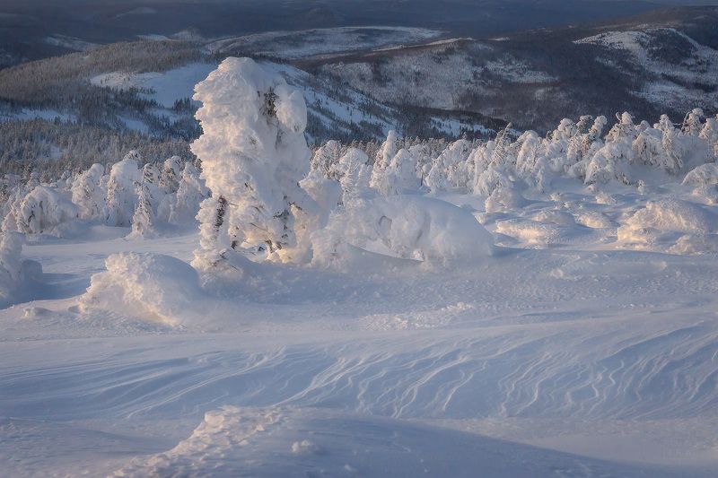 аргыджек, зима, сибирь, красноярский край, манский район, снег, елки в снегу Аргыджек фото превью