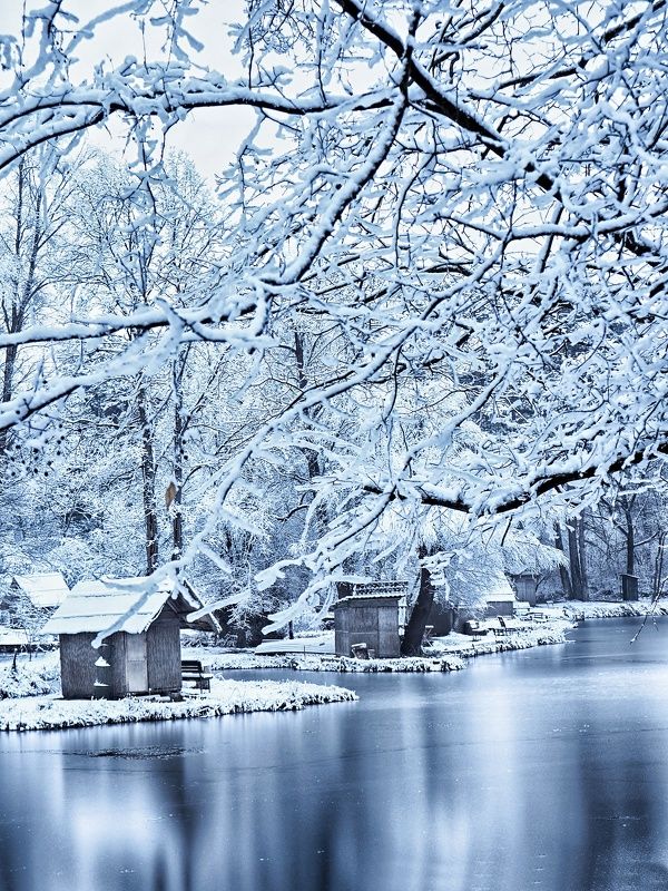 Finally winter 2 фото превью