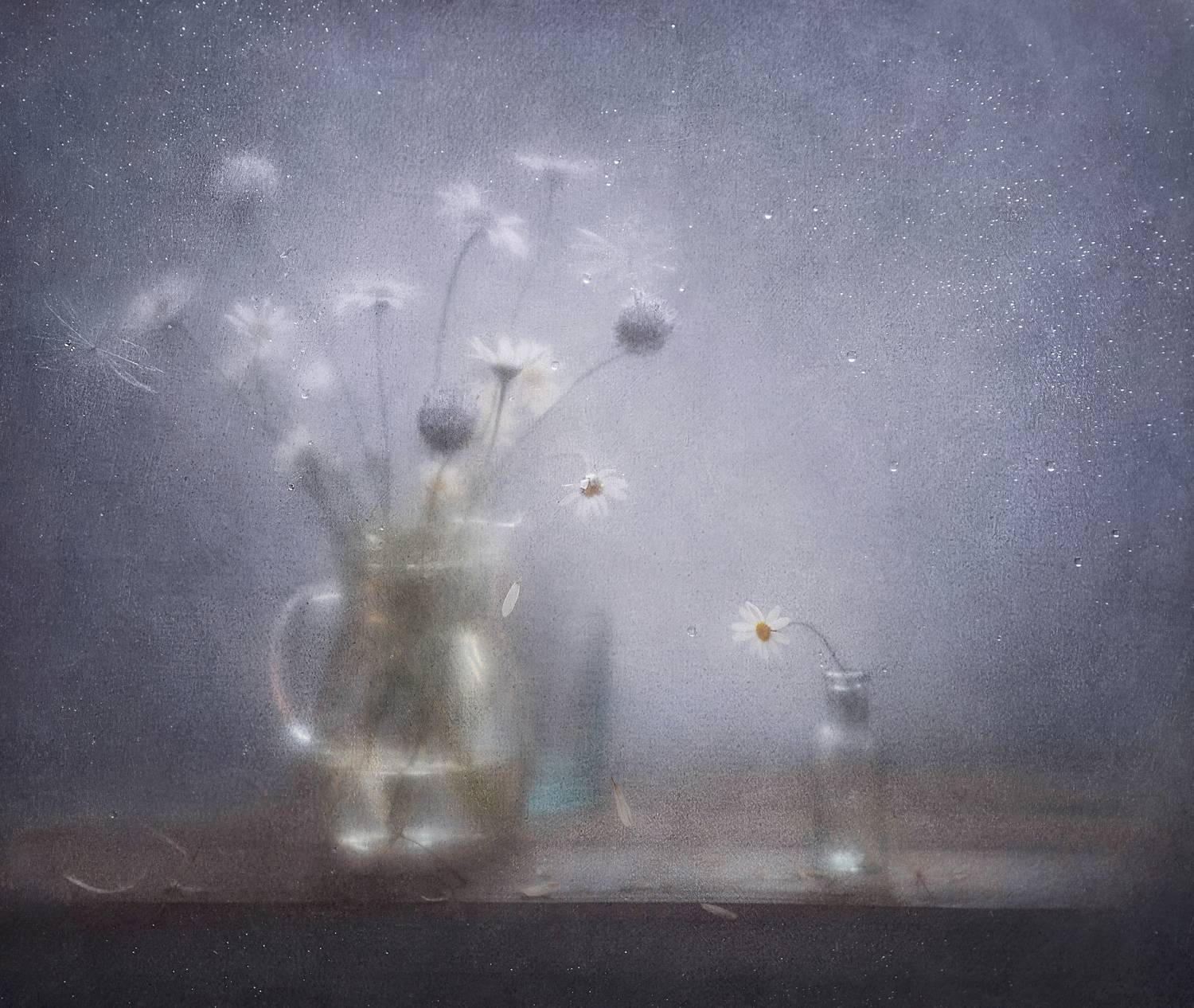 натюрморт, цветы, ромашки, Буглак Инна