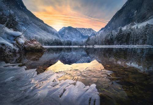 Golden Reflection