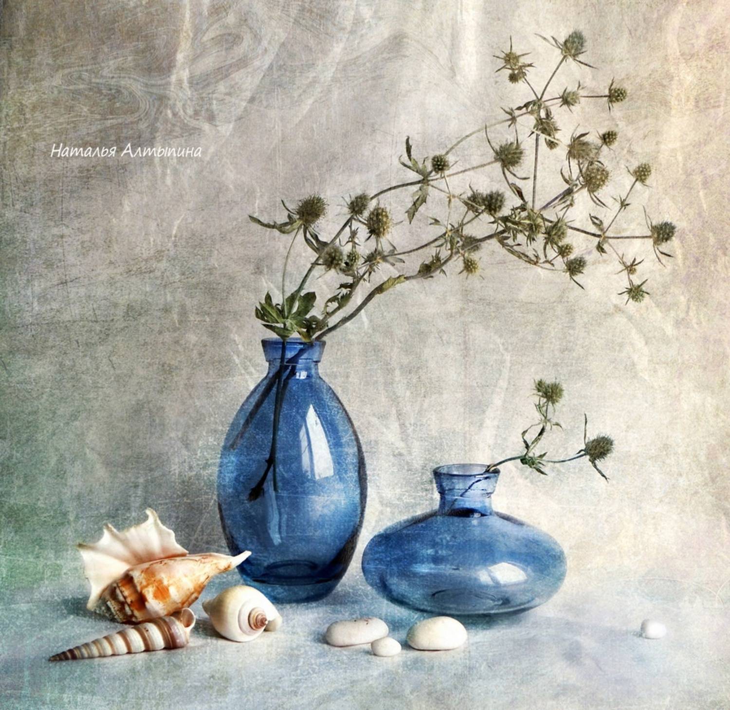 натюрморт, море, раковины, Наталья Алтыпина