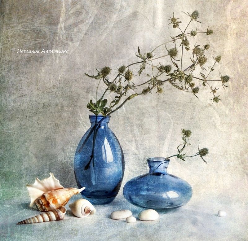 натюрморт, море, раковины Натюрморт с морскими раковинами фото превью