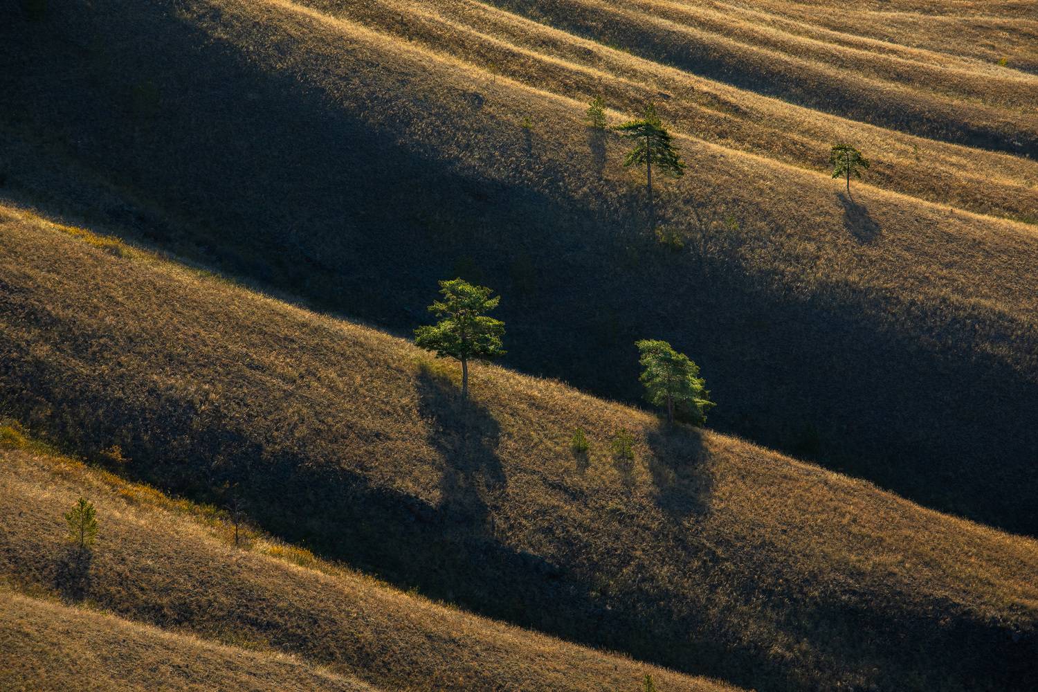 , Бабурский Андрей