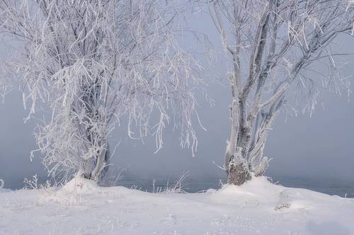В морозный день