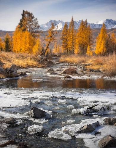 Алтайская осень
