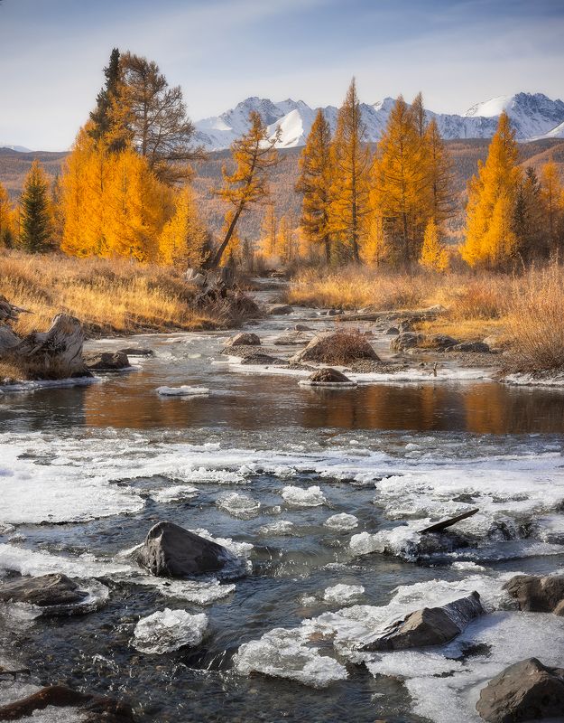 Алтайская осень фото превью