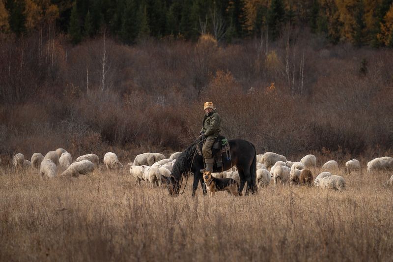 *** фото превью